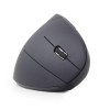 MOUSE USB OPTICAL WRL BLACK/ERGONOMIC MUSW-ERGO-01 GEMBIRD