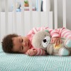 Fisher-Price Soothe 'N Snuggle Otter