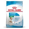 ROYAL CANIN SHN Mini Starter Mother & Babydog - dry dog food - 4 kg