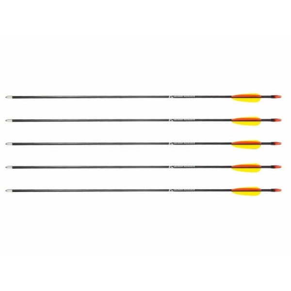 Poe Lang 28’ fibreglass arrows - ...