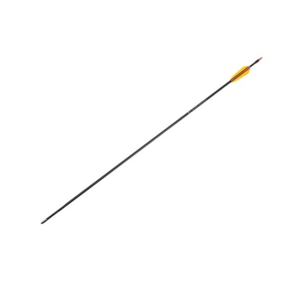 Fibreglass arrows 30’ - set of ...