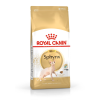 Royal Canin Sphynx dry cat food 2 kg