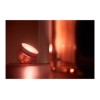 Philips Hue|Hue Iris Portable Lamp, Copper Special Edition|Copper/brass|Portable lamp