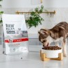 RAW PALEO Ultra Mini Puppy Beef - dry food for puppies of small breeds - 8 kg