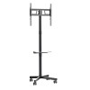 TV SET ACC FLOOR STAND 32-55