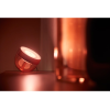 Philips Hue|Hue Iris Portable Lamp, Copper Special Edition|Copper/brass|Portable lamp