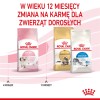 ROYAL CANIN Kitten - dry cat food - 2 kg