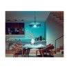 Hue WCA 13.5W A67 E27 | E27 | 13.5 W | RGBW 2000-6500K | Bluetooth and Zigbee
