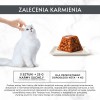 PURINA Gourmet Revelations Chunks in jelly with chicken - wet cat food - 2x57g