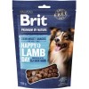 BRIT Premium Dog Snack Lamb with Seabuckthorn – dog treat – 180 g