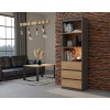 Topeshop RS-60 ANT/ART KPL office bookcase