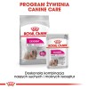 ROYAL CANIN Exigent Wet dog food Pâté 12x85 g