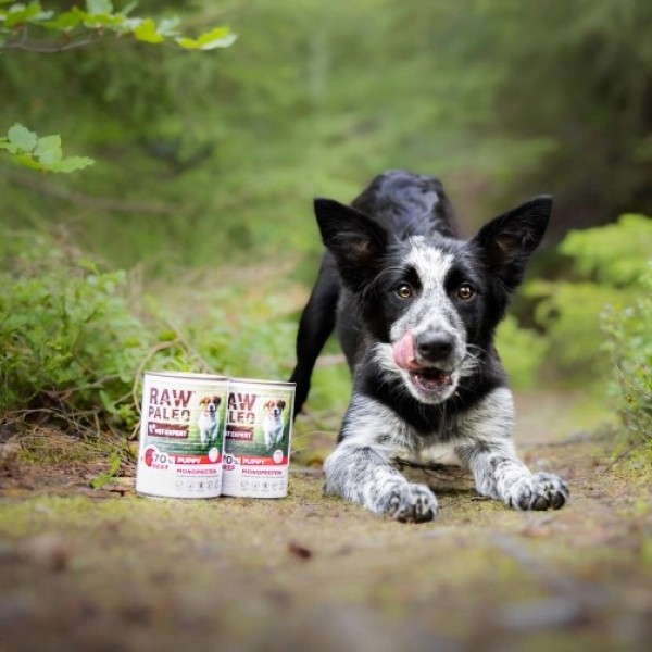 RAW PALEO Puppy Monoprotein Beef - ...