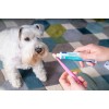 VIRBAC C.E.T. - enzymatic toothpaste for dogs and cats - 70 g