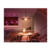 Hue WCA 13.5W A67 E27 | E27 | 13.5 W | RGBW 2000-6500K | Bluetooth and Zigbee