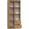 Topeshop RS-80 BILY ART office bookcase