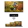 TV Set|THOMSON|55