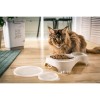 ROTHO Sally Grey - food bowl - 1 + 0,28l