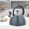 2.5L kettle MR-1302-GREY MAESTRO