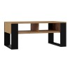 Topeshop MODERN 2P ART CZ coffee/side/end table Coffee table Rectangular shape 2 leg(s)