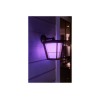 Philips Hue WCA Econic Outdoor Wall Lantern | 15 W | 2000-6500 Hue White Colour Ambiance