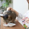 INABA Grilled Chicken Fillet in chicken flavored broth - cat treats - 25 g