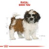 ROYAL CANIN Shih Tzu Puppy - dry dog food - 1,5 kg