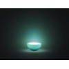 Philips Hue|Hue Go Portable Light|6 W|White and color ambiance|Zigbee