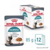 ROYAL CANIN Hairball Care Wet cat food Chunks in sauce 12x85 g