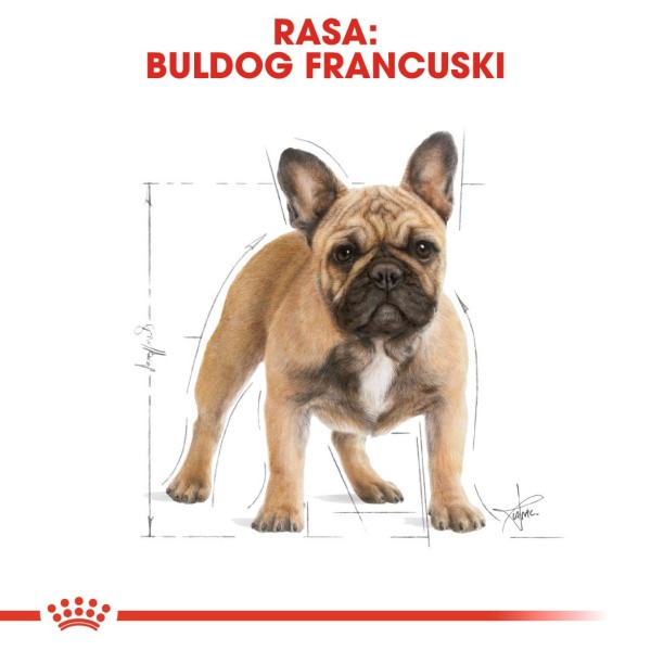 Royal Canin BHN French Bulldog Adult ...
