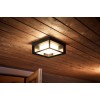 Philips Hue WCA Econic Outdoor Square Wall Lantern | 15 W | 2000-6500 Hue White Colour Ambiance