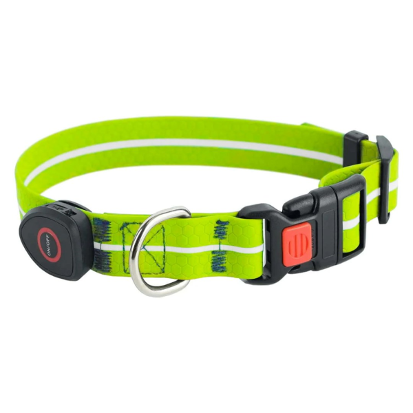 DOGGY VILLAGE Signal collar MT7116 green ...