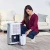 Taurus Pleasant Unique 22l Dehumidifier