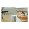 Sony Speaker | SRS-LS1 LinkBuds | Waterproof | Bluetooth | Light Gray | Portable | Wireless connection