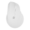 NATEC Crake 2 mouse Universal Right-hand RF Wireless + Bluetooth Optical 2400 DPI