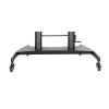 GEMBIRD Height adjustable TV floor stand