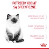 ROYAL CANIN Kitten - dry cat food - 2 kg