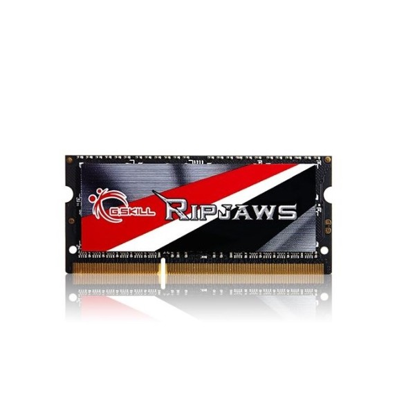 G.Skill 8GB DDR3-1600 memory module 1 ...