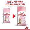 Royal Canin Kitten Sterilised cats dry food 3.5 kg Poultry