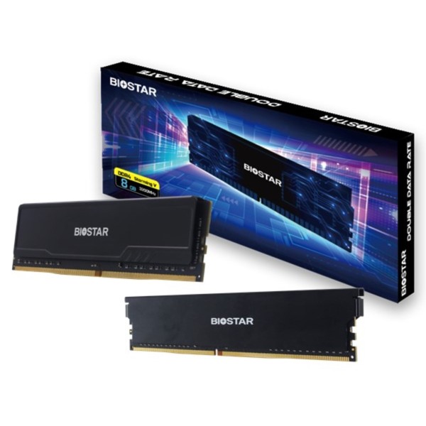 Biostar DDR4 Storming V memory module ...