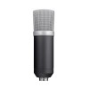 MICROPHONE GXT 252 EMITA/21753 TRUST