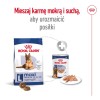 Royal Canin Size Maxi Ageing 8+ Adult 15.3 kg