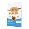 IAMS Advanced Nutrition Cat Adult Ocean Fish - dry cat food - 10 kg