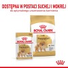Royal Canin Pomeranian Adult - dry food for dogs - 3 kg
