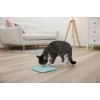 KERBL Slow-eating Licking Mat - Turquoise Tray, Bowl for Dog/Cat - 20x20 cm