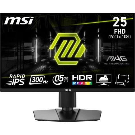 Monitor MAG 255PXF