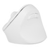 NATEC Crake 2 mouse Universal Right-hand RF Wireless + Bluetooth Optical 2400 DPI