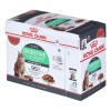 Royal Canin Digest Sensitive Care - wet cat food - 12x85g