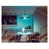 Hue WCA 13.5W A67 E27 | E27 | 13.5 W | RGBW 2000-6500K | Bluetooth and Zigbee