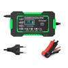 RJ Tianye RJ-C 120501A 12V, 6A battery charger